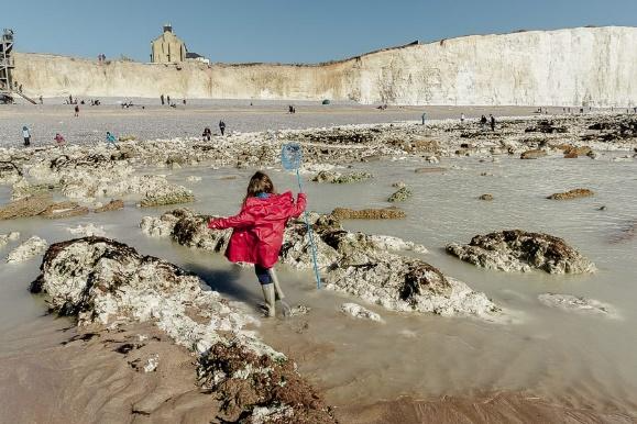 Rock pools Birling Gap