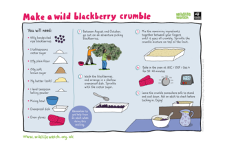Blackberry crumble