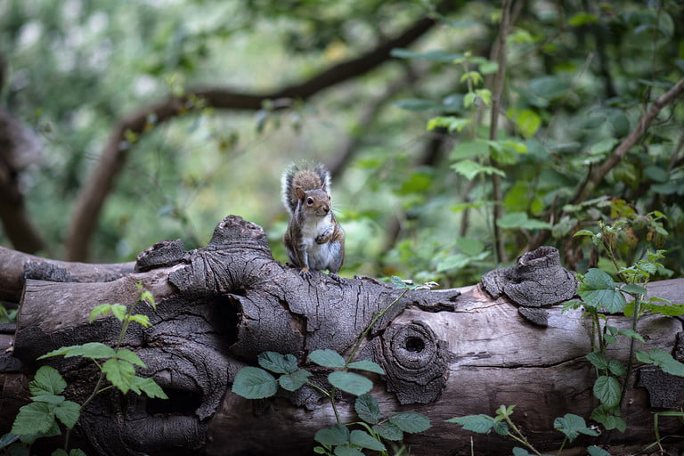 Activities For Families