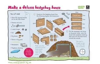 Make a deluxe hedgehog house