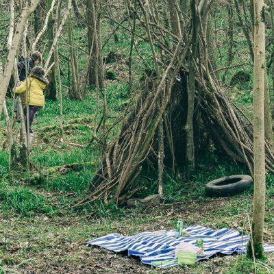 A picnic in the woods